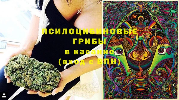 герыч Семилуки