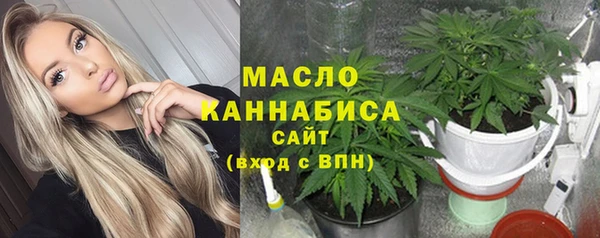 индика Семёнов