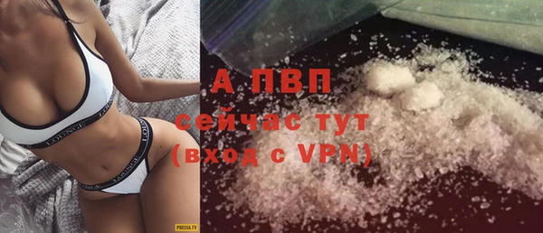индика Семёнов