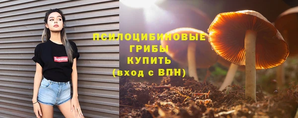 индика Семёнов