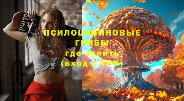 стаф Киренск