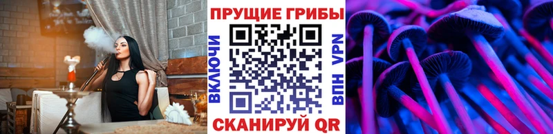 дарнет шоп  Советск  Галлюциногенные грибы Psilocybe 