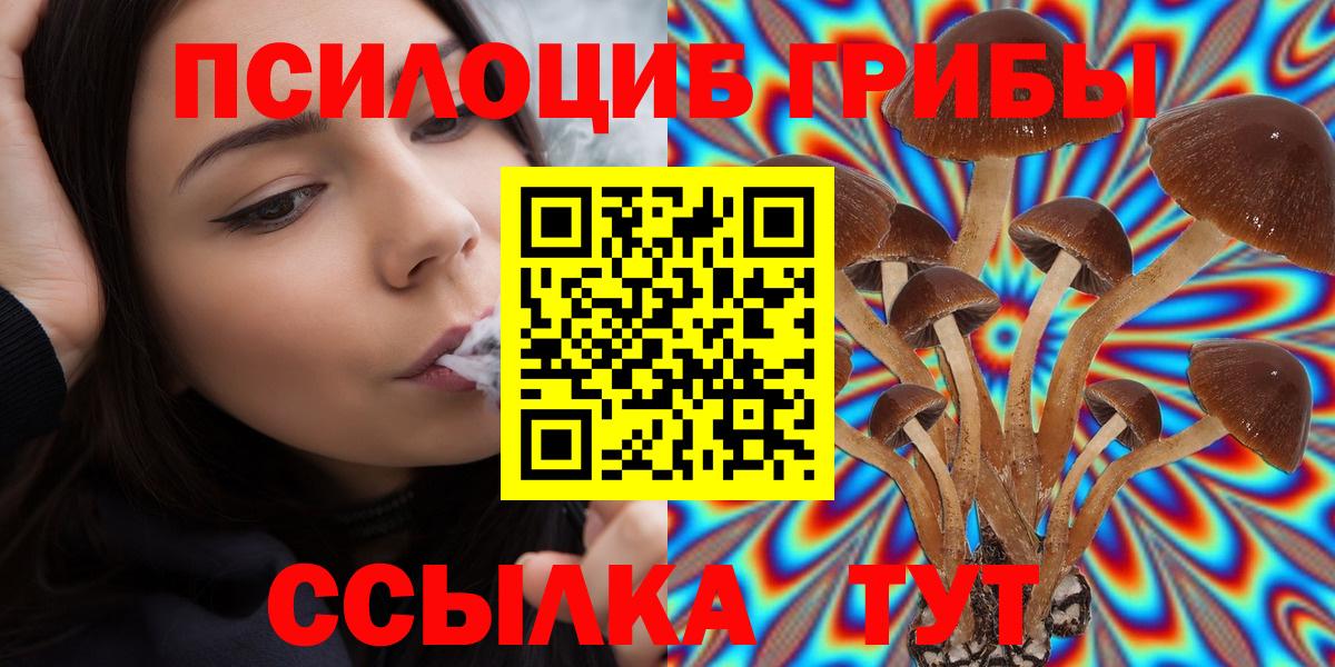 Псилоцибиновые грибы Psilocybine cubensis Советск