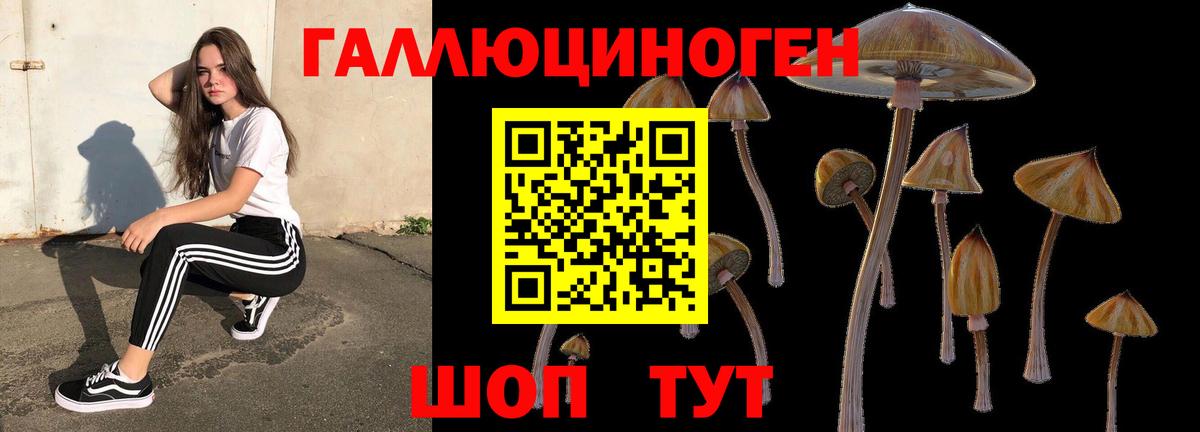 Псилоцибиновые грибы Magic Shrooms  Галлюциногенные грибы MAGIC MUSHROOMS  Советск  Вход с VPN 